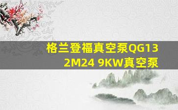 格兰登福真空泵QG132M24 9KW真空泵